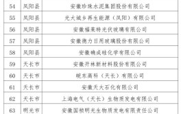 合肥市2020年重点排污单位名录(有限公司股份有限公司污水处理科技有限公司有限责任公司)