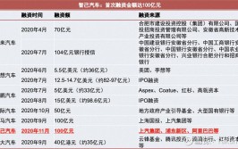 新能源汽车崛起,商务车领域的新星_新能源车报价分析