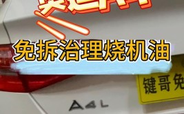 德系车维修与保养不二选择，卡迪快修！免拆治理烧...(机油奥迪治理这台保养)