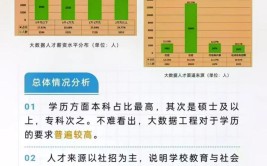 大数据技术与应用就业方向