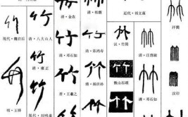 竹是左右结构还是独体字