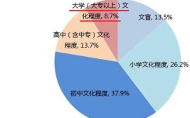 大专算低学历人群吗