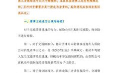 关于肇事逃逸的处理方法(逃逸肇事保险公司方法赔付)