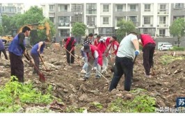 100天！四川隆昌打响城区市容环境综合整治“百日攻坚战”(隆昌整治市容百日城区)