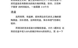 小琼聊三农香水原产料与您分享依兰花的种植小技巧及管理方法