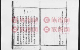 高青县常家镇北成家村成氏族谱旧序(二十谱系延平缮写祖宗)