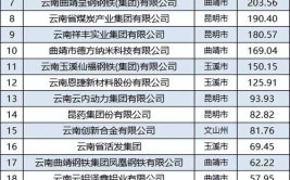 2023年云南省非公企业100强揭晓 完整榜单看这里→(制造业股份有限公司彝族自治州加工业)