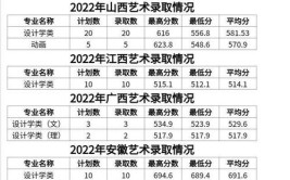 2024河南城建学院中外合作办学学费多少钱一年