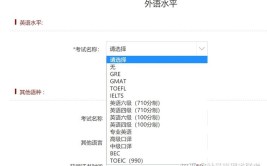 外语语种及水平怎么写