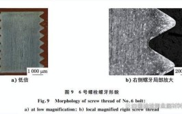 分享：低压加热器疏水泵导流壳连接螺栓断裂失效分析(疏水螺栓断裂加热器失效)