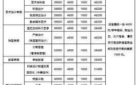 上海建桥学院中外合作办学学费多少钱一年