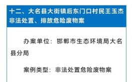 生态环境部公布6起生态环境执法典型案例(生态环境监测排查环境万元)