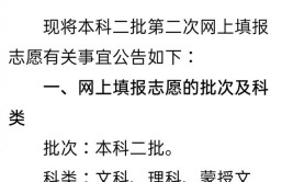 低于投档线会被补录吗?