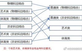 综合包括哪些学科