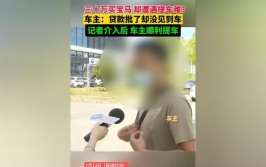 车主无法提车，当地市场监管部门介入处理(车主记者介入中心暂停)