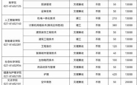 2024武昌理工学院学费多少钱一年