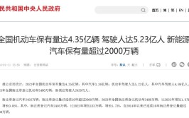 2024-2030中国地磁汽车检测器行业前景规划及投资竞争力调研报告(地磁检测器汽车图表分析)