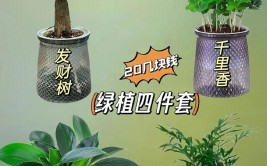 绿意蛊然家居植物养护秘诀轻松打造绿色生活空间