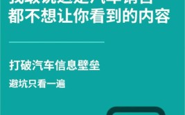 买车踩坑是常态？中国人买车避不开的坑有哪3个？(买车之家常态不开试驾)