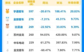 康迪车业(KNDI.US)想借“老头乐”快乐？(电动车新能源股价销量公司)