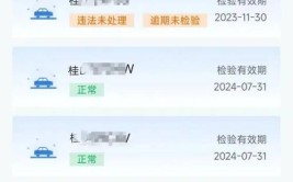 丢失车牌咋办？登录“交管12123”APP可网上补办(号牌机动车业务申请交管)