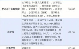 新加坡国立大学硕士申请37建筑保护艺术硕士