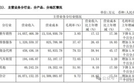 汽车经销商“金融服务费”冲动 部分上市公司整车销售毛利率4%以下(汽车广汇控股佣金公司)