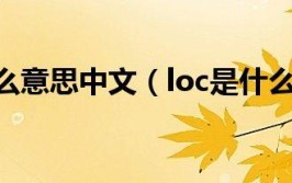 LOC中文的意思是什么