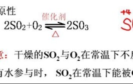 二氧化硫与氧气反应可逆吗