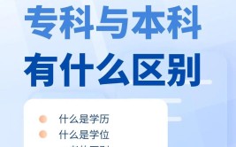 大学里的专科和大专有什么区别