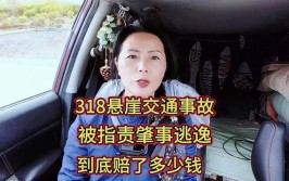 女子西安曲江被撞身亡！肇事者逃逸13小时后被抓(逃逸车辆民警肇事者肇事)