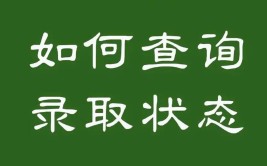 怎么看自己志愿投档状态