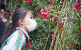 长沙一小学开设植物治疗室学生和花草对话缓解压力