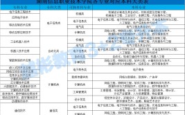 湖南信息职业技术学院艺术类专业有哪些？