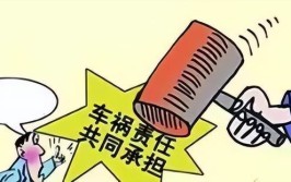 被判和故障车共同担责，合理吗(小陈责任修车比例故障)