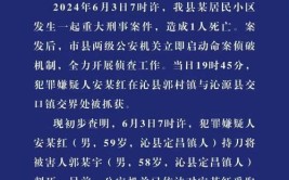 安徽通报滁新高速致18死事故：多人受处 7人追刑责(驾驶人依法移送司法机关管理处)