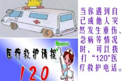 急救呼号统一用“120”(急救呼叫人民日报议案医疗)