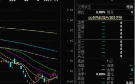 现在跌到0.7元，能吸取什么教训？(海印跌到股份股民吸取)