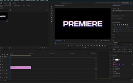 Premiere Pro 2023全面精通(精通特效视频制作效果)