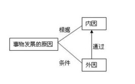 质壁分离的条件及内因外因