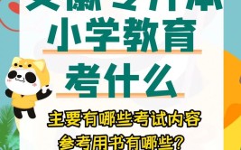 小学教育专升本后可以教什么