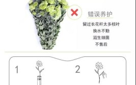 从鲜花到干花你只需要做这样几步