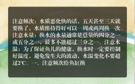 对于观赏鱼缸水质的维持需要注意的方面比较多实际操作并不难