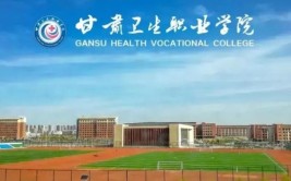 甘肃卫生职业学院是公办还是民办大学？