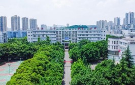 2024年重庆合川有什么本科大学