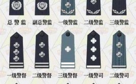 遥祝首个警察节快乐(望都警官警察人民警察警校)