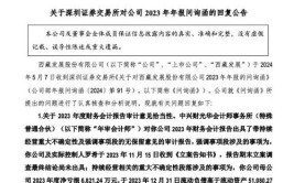 常熟市汽车饰件股份有限公司关于对上海证券交易所问询函回复的公告(交易股权万元业绩定价)