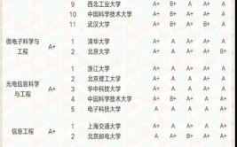 电子信息类的王牌专业是哪个