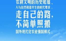 稻菽千重浪丨中国要强农业必须强