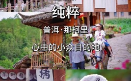 版纳移民日记——关于方言(版纳方言日记管家也有)